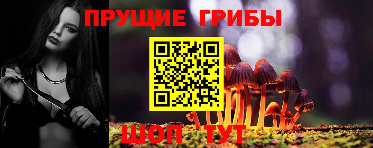 Таганрог  Псилоцибиновые грибы мицелий  Вход с VPN 